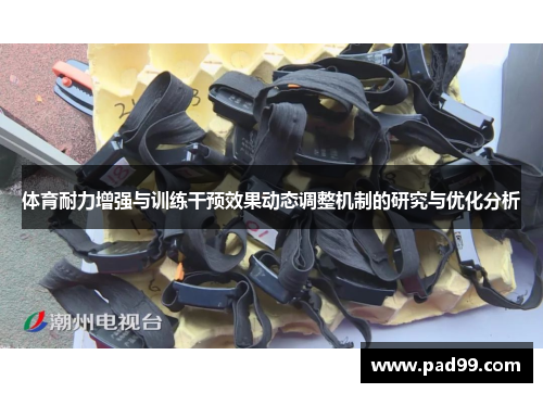 体育耐力增强与训练干预效果动态调整机制的研究与优化分析