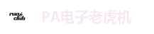 PA电子老虎机